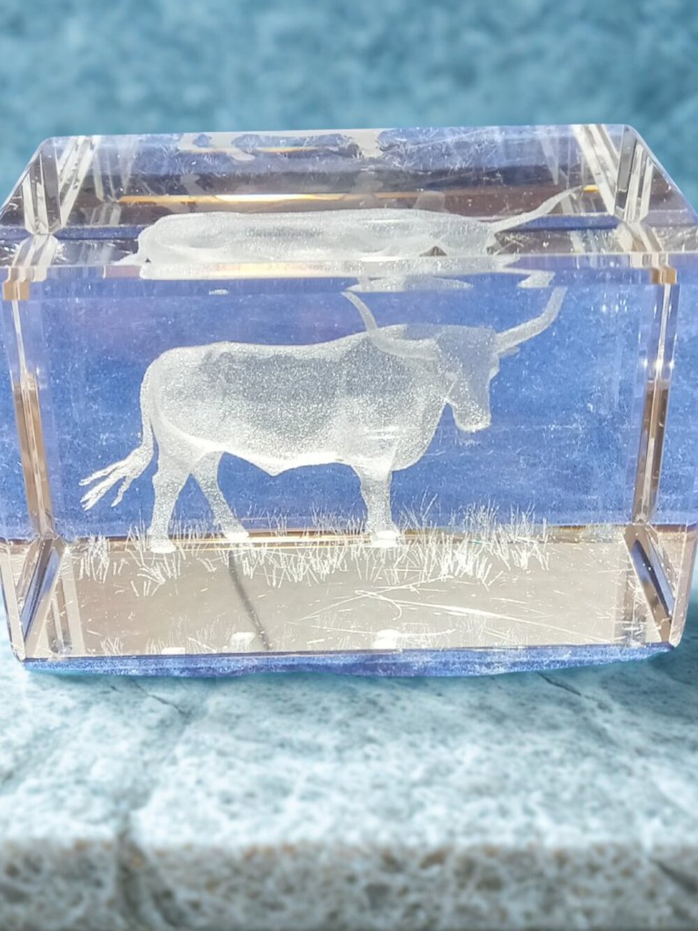 3D Laser-Etched Crystal/Glass Floating Bull Longhorn Heavy 3x2" Cube Paperweight